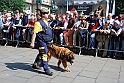 Adunata Nazionale Alpini - Sfilata_309